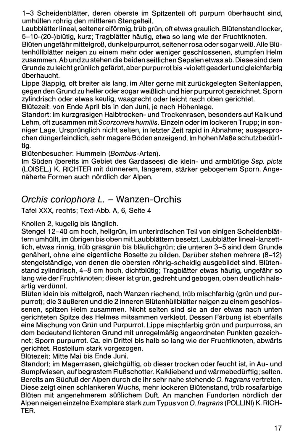 1-3 Scheidenblätter, Zool.-Bot. deren Ges. oberste Österreich, Austria; im download Spitzenteil unter www.biologiezentrum.at oft purpurn überhaucht sind, umhüllen röhrig den mittleren Stengelteil.