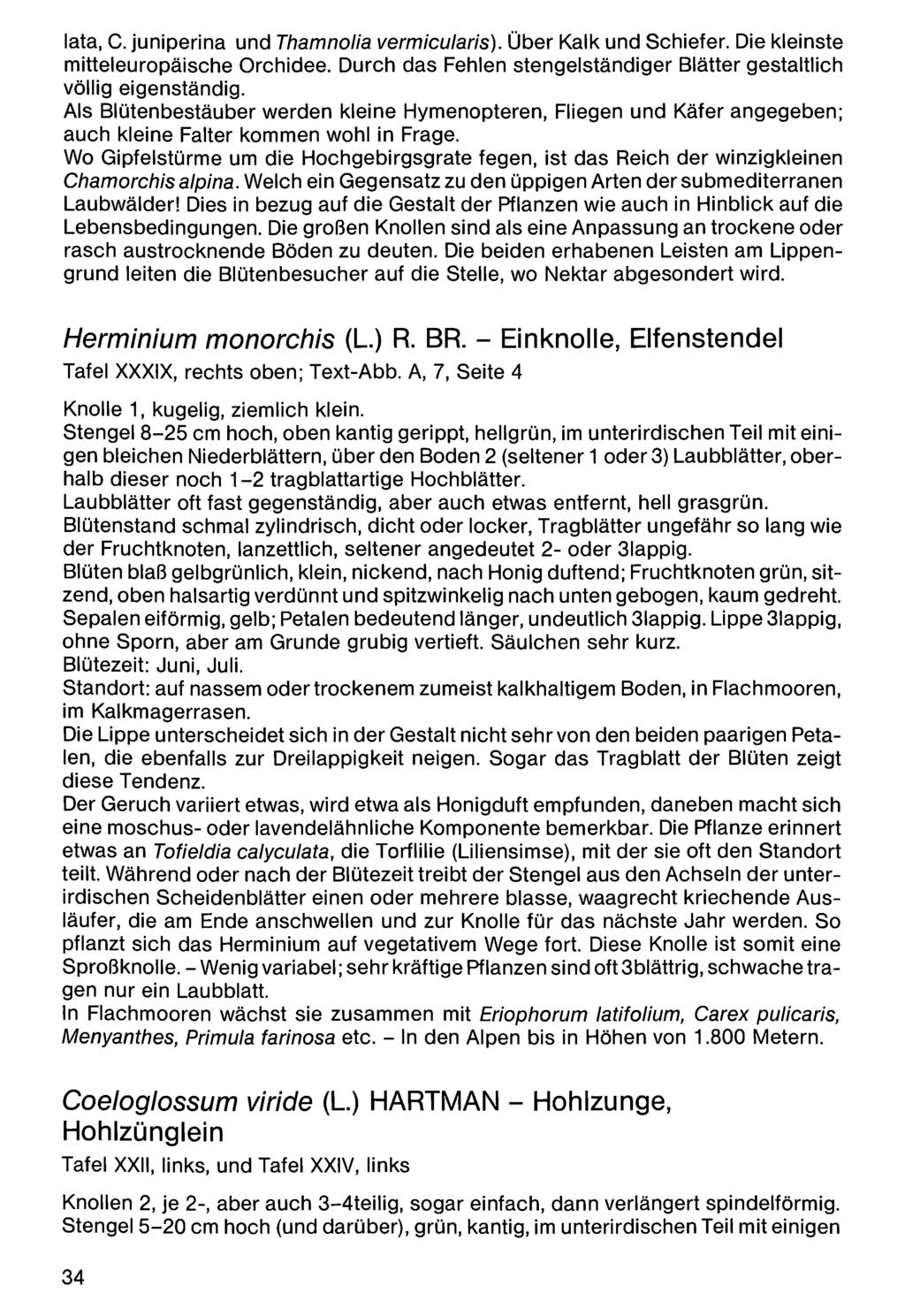 Zool.-Bot. Ges. Österreich, Austria; download unter www.biologiezentrum.at lata, C. juniperina und Thamnolia vermicularis). Über Kalk und Schiefer. Die kleinste mitteleuropäische Orchidee.
