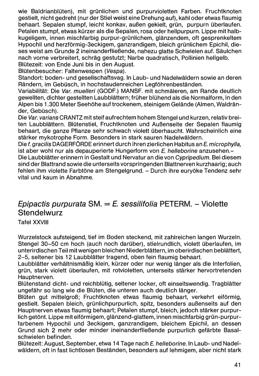 wie Baldrianblüten), Zool.-Bot. mit Ges. grünlichen Österreich, Austria; und download purpurvioletten unter www.biologiezentrum.at Farben.