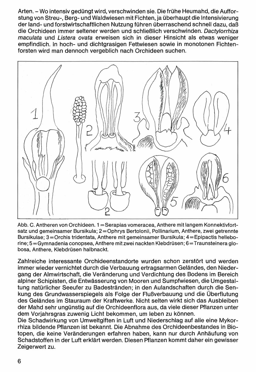 Arten. - Wo intensiv gedüngt Zool.-Bot. Ges. wird, Österreich, verschwinden Austria; download unter sie. www.biologiezentrum.