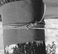 Wickelknoten Der Wickelknoten bietet eine einfache und sichere Möglichkeit, das Seil an einem Baum zu verankern.
