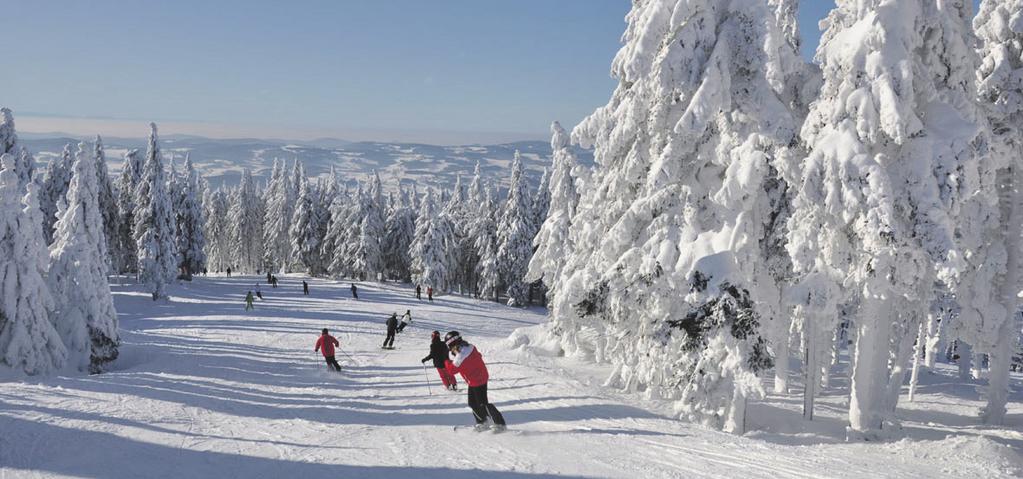 Schnee und bestes Skiwetter lassen das Herz jedes Wintersportlers höher