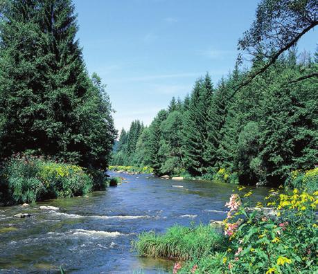 Der würzige Duft aromatischer Tabakblätter dringt aus dem Anwesen, das mit seinen weißen Säulengewölben dem Landsitz eines karibischen Tabakbarons ähnelt.