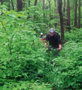 Reportage Mountainbiken Mountainbiker-Jargon Trail oder Naturtrail: Wanderweg, Fußpfad Single Trail: schmaler Waldweg Flow Trail: besonders schöne Bergab- Strecke, auch mit baulichen Maßnahmen