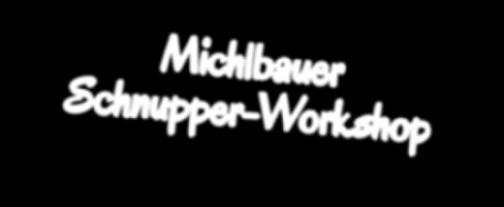 Michlbauer Schnupper-Workshop Entdecke in nur 2h dein Talent für Steirische Harmonika!