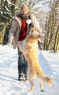 season Zwei Spuren im Schnee Hundepfoten passen sich erstaunlich gut an die kalten Wetterbedingungen an Jedes Jahr aufs Neue lockt der Schnee Menschen und ihre vierbeinigen Begleiter in die