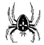 17. Im Garten krabbeln Spinnen und Käfer. Sammi zählt 56 Beine. Wie viele Spinnen und wie viele Käfer krabbeln herum?