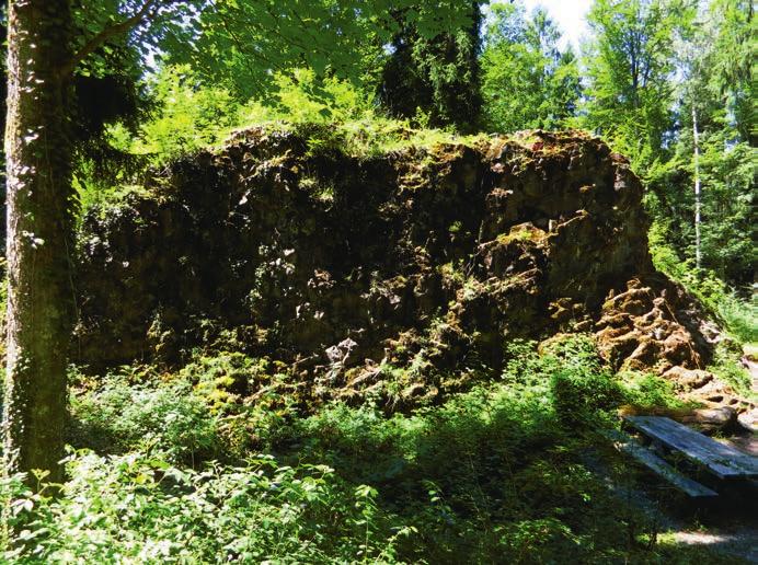 Heidenhübelstein: Mit der imposanten Grösse von rund 18 mal 6 mal 6 Meter gehört dieser Kieselkalk-Block in der Gemeinde Sarmenstorf zu einem der grössten Findlinge im Kanton Aargau.
