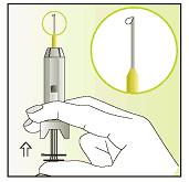 7. Nehmen Sie nun die Spritze in aufrechter Position zwischen Zeigefinger und Mittelfinger Legen Sie Ihren Daumen auf