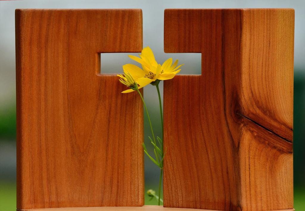 Karfreitag und Ostern Seht das Zeichen, seht das Kreuz, es bedeutet Leben.