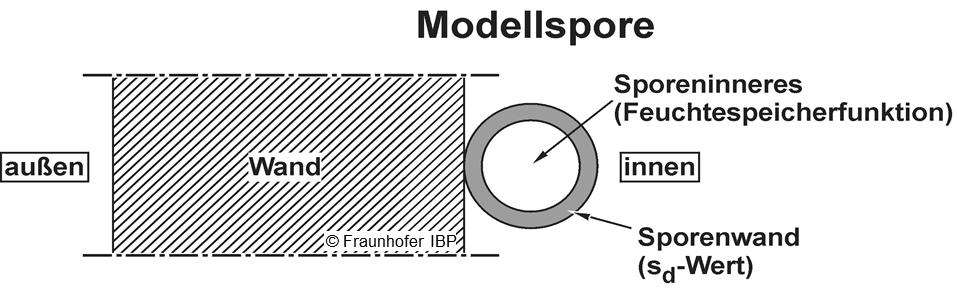 2. WUFI Bio - Modellspore zur Beurteilung des Feuchteverhaltens Berechnung einer generischen Modell-Schimmel-Spore: Eine Pilzspore besitzt ein gewisses osmotisches Potential, mit dessen Hilfe sie