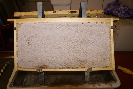 Bei nicht genauem Zusammenrücken der Schenkel, entsteht zwischen den Schenkeln ein kleiner Spalt, den die Bienen verkitten (Nachteil vom Hoffmannrähmchen).