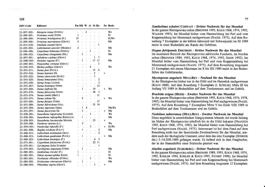 Xantholinus schuleri COIFFAIT - Dritter Nachweis für das Moseltal In der ganzen Rheinprovinz selten (BRENNER 993, KOCH 968, 974, 992, WAGNER 993).