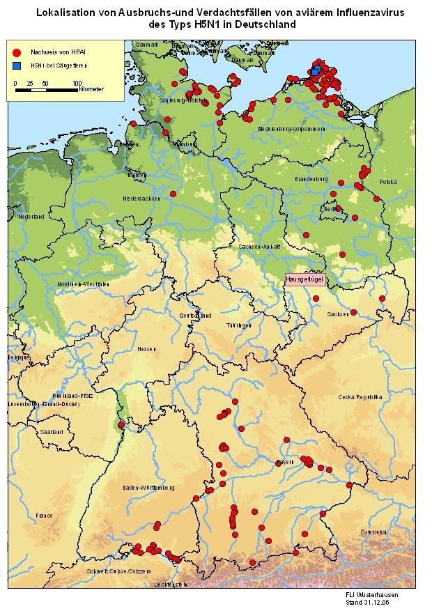 Abb. 1: Lokalisation 2006 tot aufgefundener, H5N1 hp-positiver Wildvögel (rote Punkte) und Säugetiere (blaue Punkte) in Verbindung mit der Darstellung von Flussläufen.
