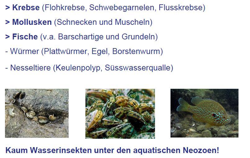 B. Welche aquatischen