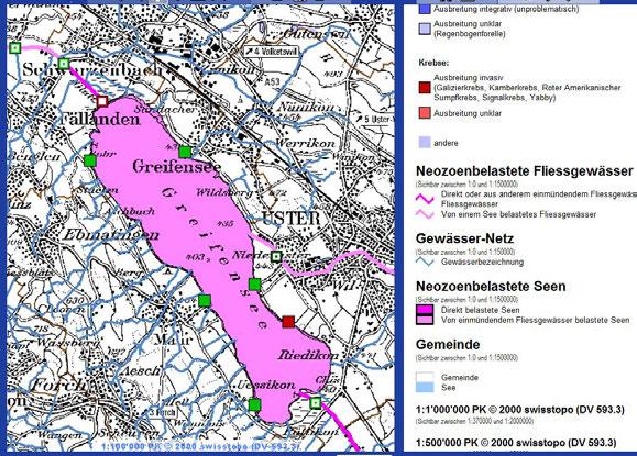 Verhinderung durch Verbreitung durch Geschiebeund Geröllverschiebungen Geschiebe darf nicht direkt von