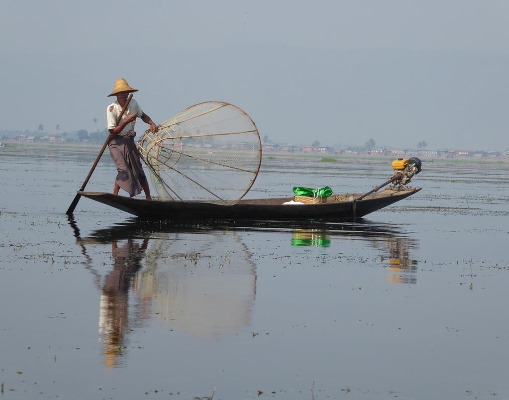 Landwirtschaft Myanmar ist in erster Linie ein Agrarland. 63% der Erwerbstätigen sind in der Landwirtschaft tätig und das Land ist u.a. eines der führenden Reisproduzenten der Welt.