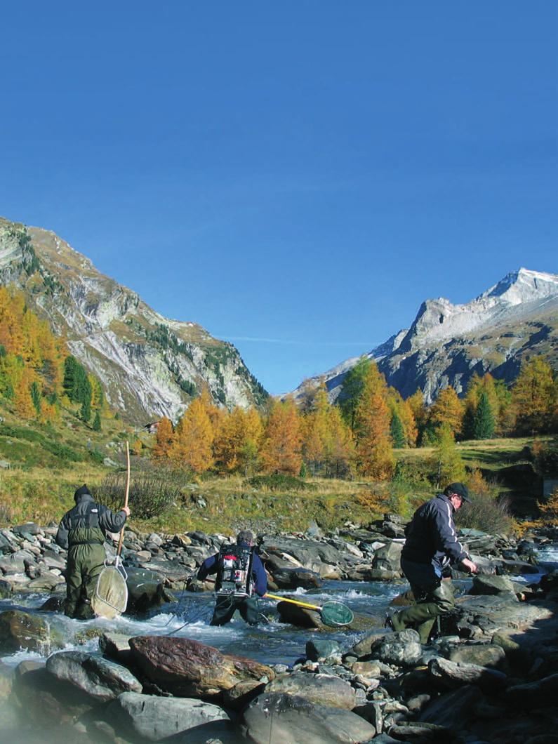 Projektgewässer im Nationalpark Hohe