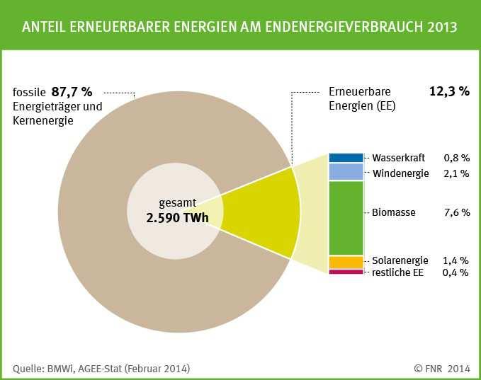 EE in Deutschland Anteil EE am Endenergieverbrauch in
