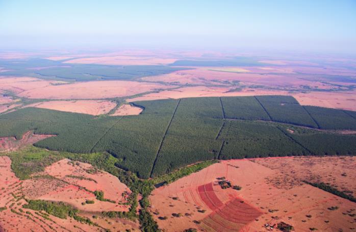 000 Hektar eigener Forst in Prata, 2.