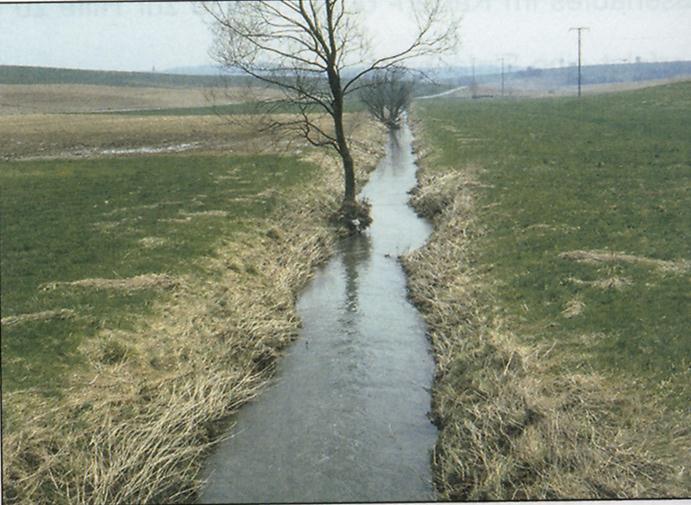 Wasserrückhaltung erfolgt im naturnah