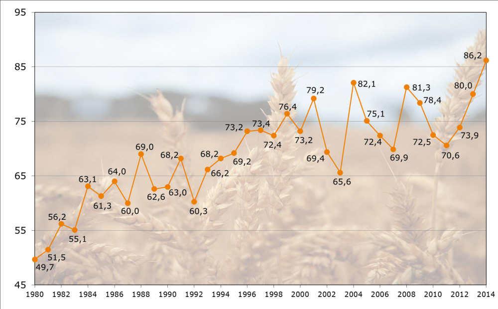 Kornerträge von Winterweizen in Deutschland 1980-2014 Ertrag dt/ha (Quelle: Beschreibende