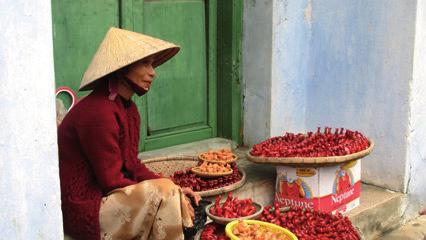 Zentralvietnam hält dann mit dem Besuch der alten Kaiserstadt Hue und der einstigen Handelsstadt Hoi An weitere UNESCO Weltkulturstätten und Höhenpunkte für uns bereit.