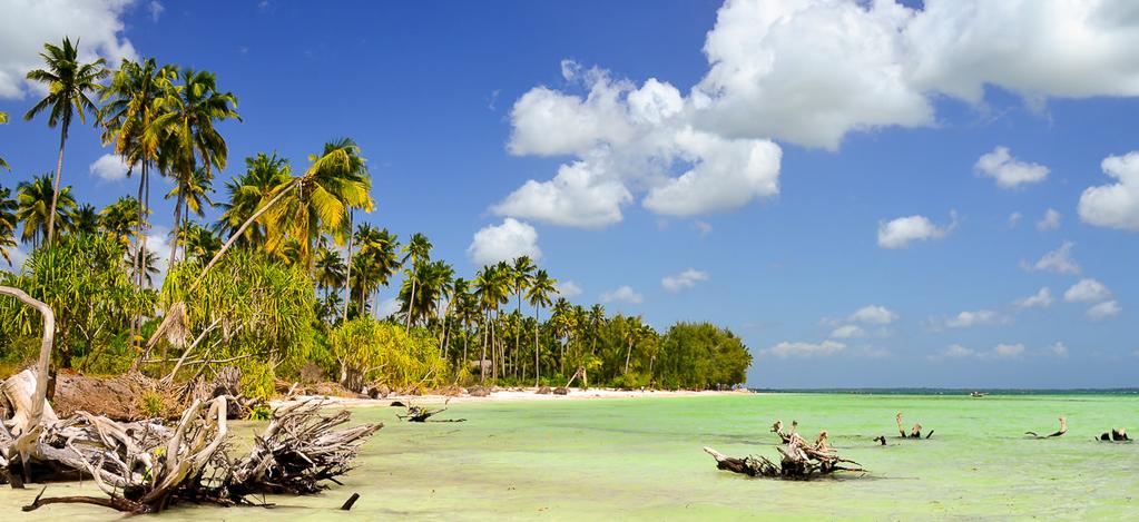 REISEVERLAUF 6 Tage Sansibar mit Gewürzmarkt, Weltkulturerbe Stone Town und herrlichen Zeiten am goldenen Strand Riechen Sie mal, kommt Ihnen das bekannt vor?