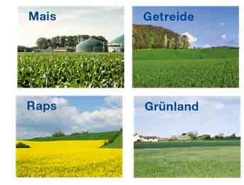 Anwendungszeitraum Vizura in Gülle oder Biogasgärresten ist in allen Kulturen einsetzbar Mais