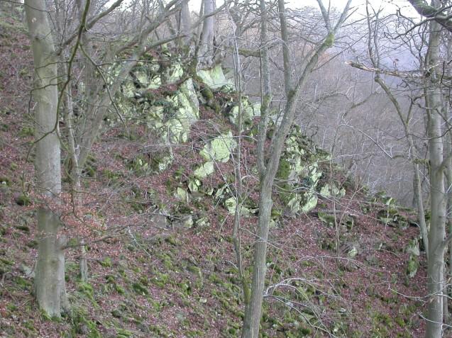 Artenzahl 28.03.2011 Flechten und Moose im Nationalpark Kellerwald-Edersee Dipl.-Biol.