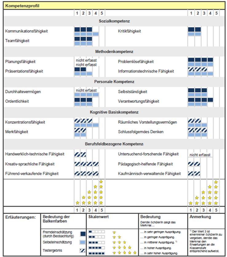 für die jeweiligen SuS in Form eines Kompetenzprofils