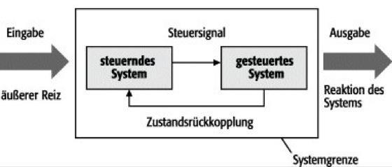 Mechanismus Kybernetische Systeme sind operationell geschlossenen Systeme