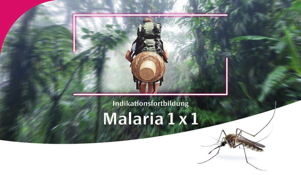 INHALTSVERZEICHNIS Grundlagen zur Erkrankung 2 Geschichte der Malaria Erreger und Formen Übertragung und Vermehrung Verbreitung und Risikogebiete Malariaprophylaxe 5 Expositionsprophylaxe