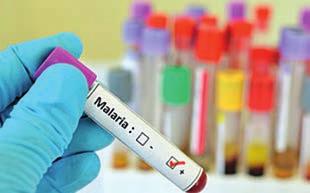 Die Malaria, oft auch als Sumpffieber oder Wechselfieber bezeichnet, ist eine der am häufigsten importierten parasitären Erkrankungen.