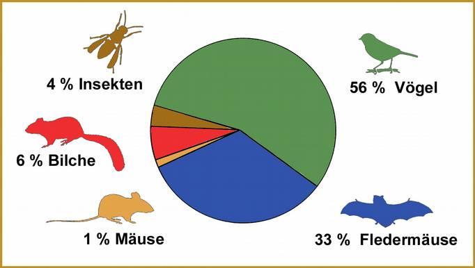 Jahresbericht 6 B Höhlenbrütende Vögel, Säugetiere und Insekten im Oberurseler Stadtwald Seit nun 48 Jahren betreut die Nistkästen im Oberurseler Stadtwald Seit 988 wurden Inhalt, Standort und