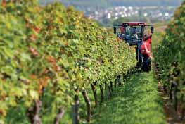 ist der Wirtschafts- und Berufsverband für mittelständische Unternehmen des privaten Agrargewerbes in Süddeutschland.