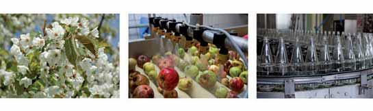 77 Fruchtsafthersteller Erfassung und Verarbeitung heimischer Rohware Baum - Presse - Flasche. Direkter geht es nicht!