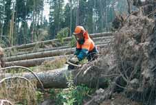 87 DFSZ Deutsches Forst-Service-Zertifikat Ein Großteil der Wald ächen in Deutschland ist nach den Vorgaben von PEFC oder FSC für nachhaltige Waldbewirtschaftung zerti ziert und Waldbesitzer,