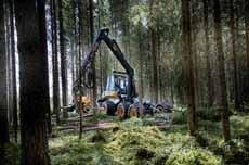 Das Deutsche Forst - Service - Zerti kat (DFSZ) ist ein praxisnahes System für die Zerti zierung von Forstunternehmen.