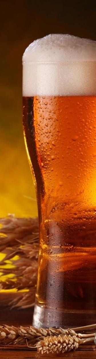 ZIELE Weltweite Bruderschaft zur Förderung der gesellschaftlichen Bewusstseinsbildung des Kulturgetränks BIER Bier als edles Getränk gepflegter Geselligkeit Pflege der