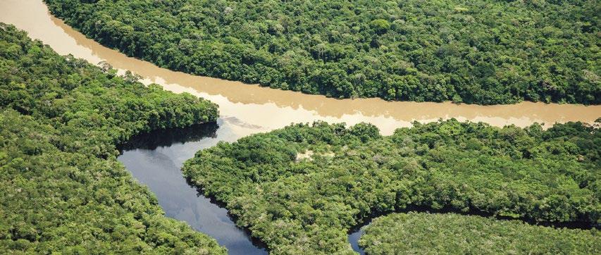12 Ziele gemeinsam umsetzen Die Amazonas-Region in Südamerika ist durch den tropischen Regenwald geprägt, in dem eine faszinierende Artenvielfalt besteht.