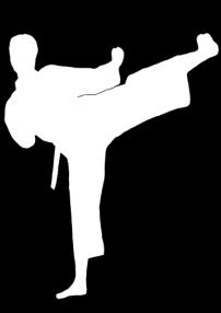 und Kompetenzen des Karate - Richtiges Abwehren und Greifen, Fallen und Werfen -
