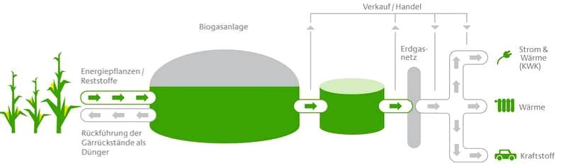 Wertschöpfungskette BIO-ERDGAS. Biogas aus heimischer Produktion wird über das Erdgasnetz den verschiedenen Verwendungen zugeführt.