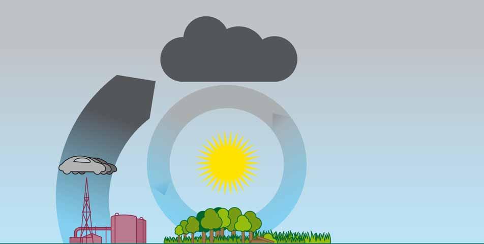 Die Herausforderung: den CO 2 -Kreislauf schließen CO 2 Verbrennung von Kohle,