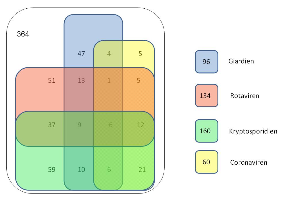 IV. Ergebnisse 39 4.4.5 Kombinationen der verschiedenen Erreger Die verschiedenen Kombinationen, mit denen die Erreger in den Kotproben gefunden wurden, sind in Abbildung 15 dargestellt.