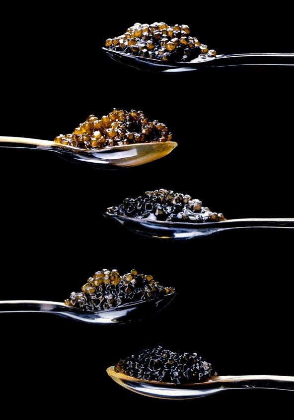 Gut zu wissen KAVIAR MADE IN ITALY Kaviar aus der Lombardei genießt auf Grund seiner Qualität weltweit einen exzellenten Ruf. Fast die gesamte Produktion wird ins Ausland exportiert.