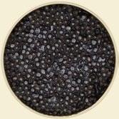 BLACK BLACK ist Kaviar vom Sibirischen Stör (Acipenser Baerii) aus Voralpen-Frischwasseraufzucht, der nach der traditionellen Malossol -Methode hergestellt wird.