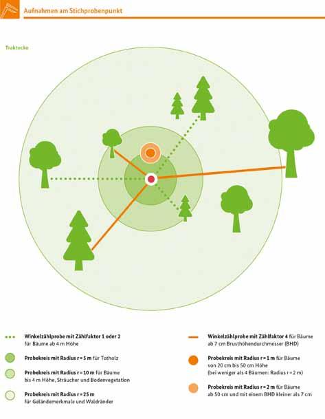 Datenerhebung Die Durchführung der Bundeswaldinventur ist Ländersache. Die Landesinventurleitung wurde in Thüringen dem Forstlichen Forschungs- und Kompetenzzentrum Gotha übertragen.