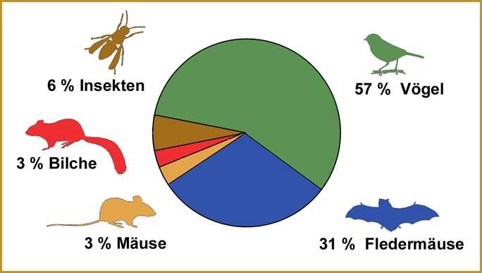 Jahresbericht 5 B Höhlenbrütende Vögel, Säugetiere und Insekten im Oberurseler Stadtwald Seit nun 47 Jahren betreut die Nistkästen im Oberurseler Stadtwald Seit 988 wurden Inhalt, Standort und
