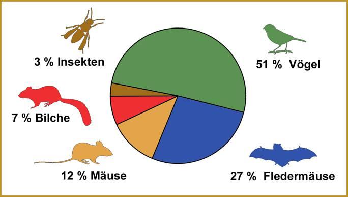 Jahresbericht 4 B Höhlenbrütende Vögel, Säugetiere und Insekten im Oberurseler Stadtwald Seit nun 46 Jahren betreut die Nistkästen im Oberurseler Stadtwald Seit 988 wurden Inhalt, Standort und